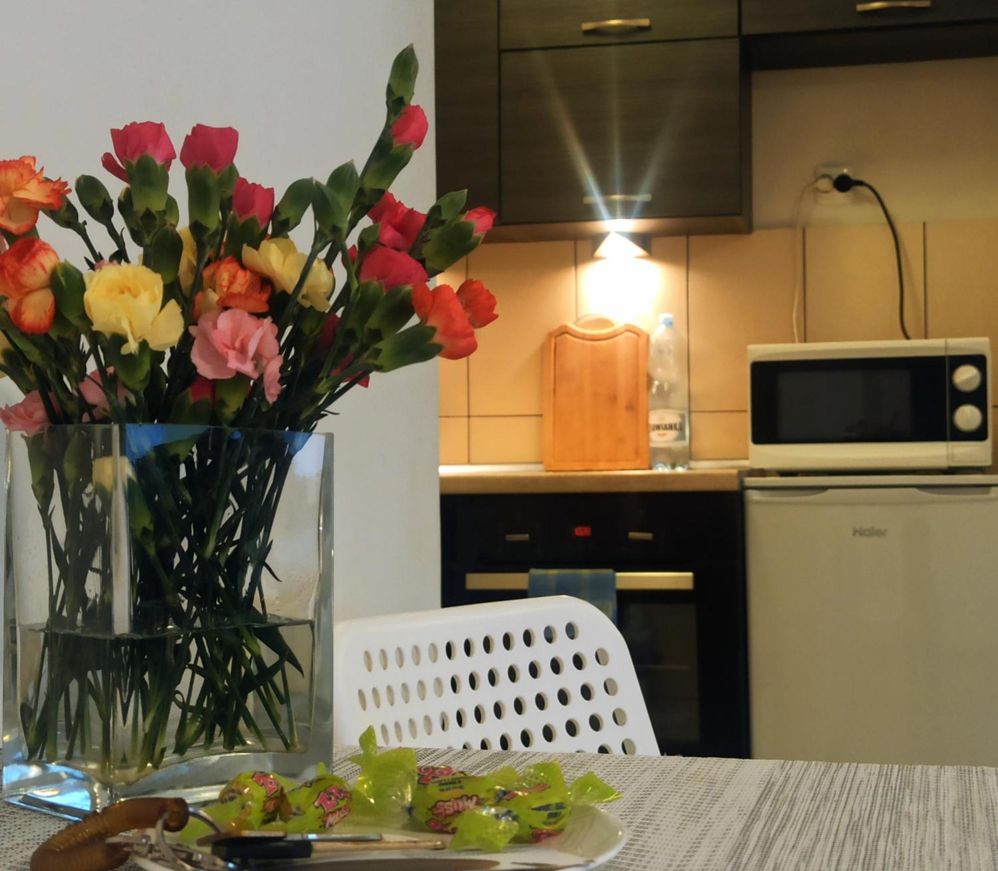 Apartamenty Spodek Katoviçe Dış mekan fotoğraf